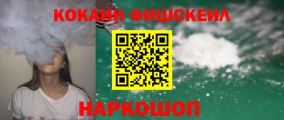 a pvp Камышлов