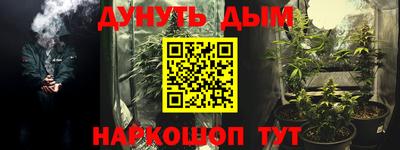 a pvp Камышлов