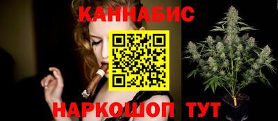 a pvp Камышлов
